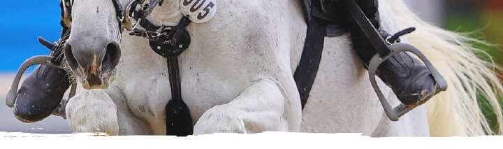 einstiegsbanner einsatzgebiete sport derby 920px mobil